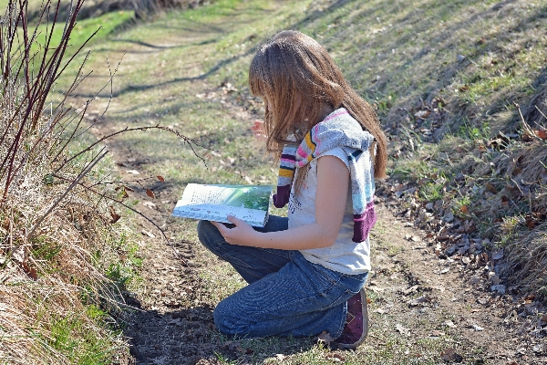 Nature grass book read Photo