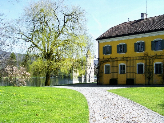 Tree architecture lawn mansion Photo