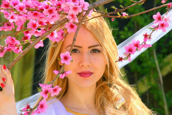 Tree blossom plant girl Photo