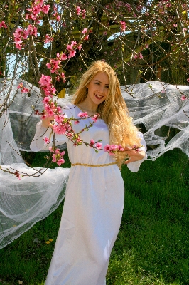 Foto Albero pianta ragazza donna