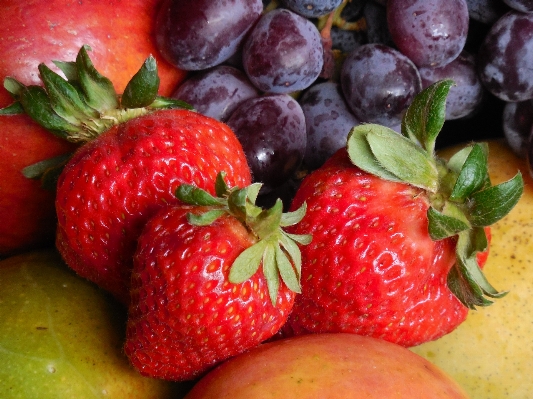 Apple table plant grape Photo