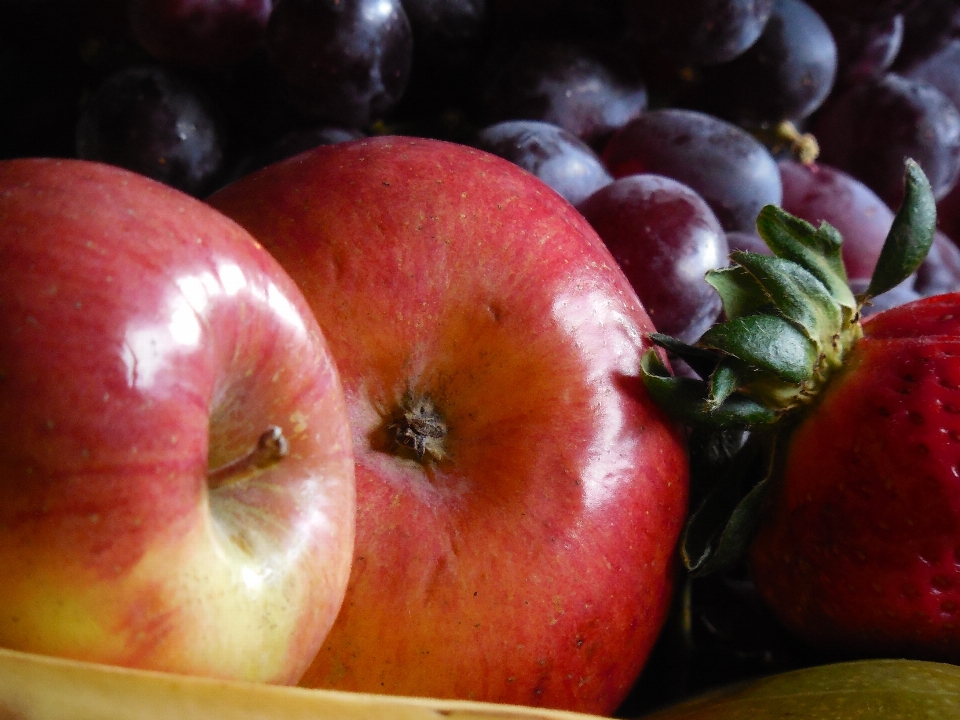 Apple table plant grape