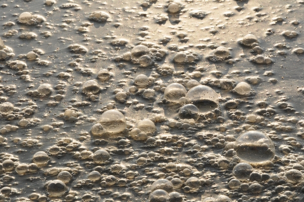 Water sand rock texture Photo