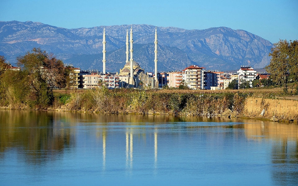 пейзаж дерево вода гора