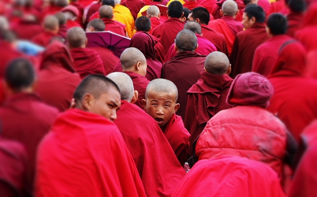 Person people celebration monk Photo