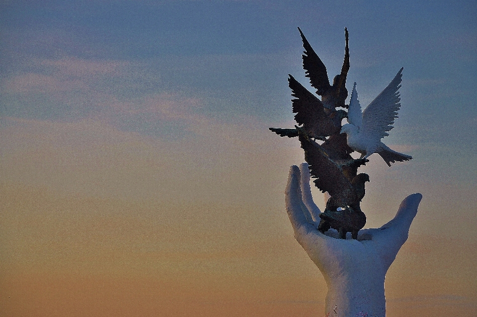 Tangan burung sayap langit