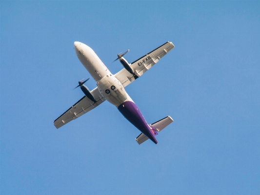 Wing sky purple fly Photo