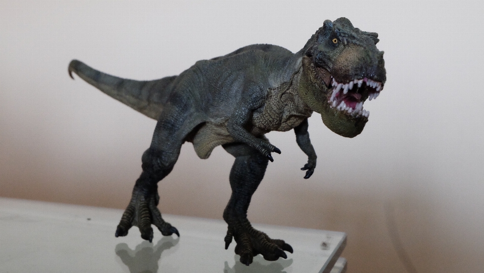 Toy dinosaur tyrannosaurus t rex