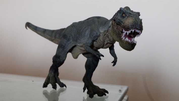 Toy dinosaur tyrannosaurus t rex Photo