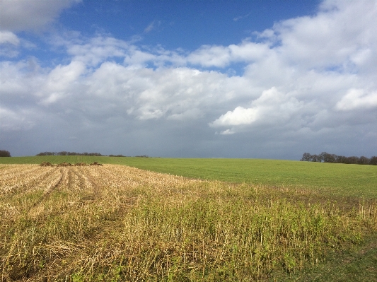 Landscape nature grass horizon Photo