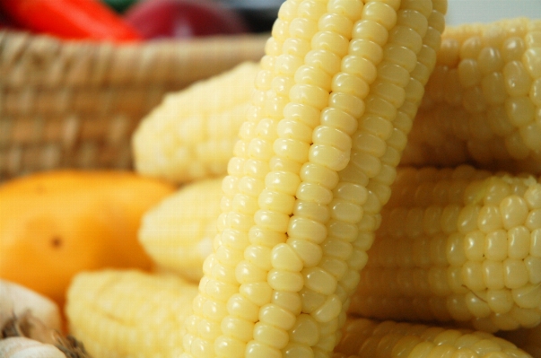 粒 皿 食べ物 生産 写真