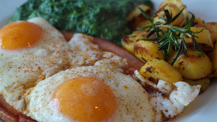 皿 食事 食べ物 生産 写真