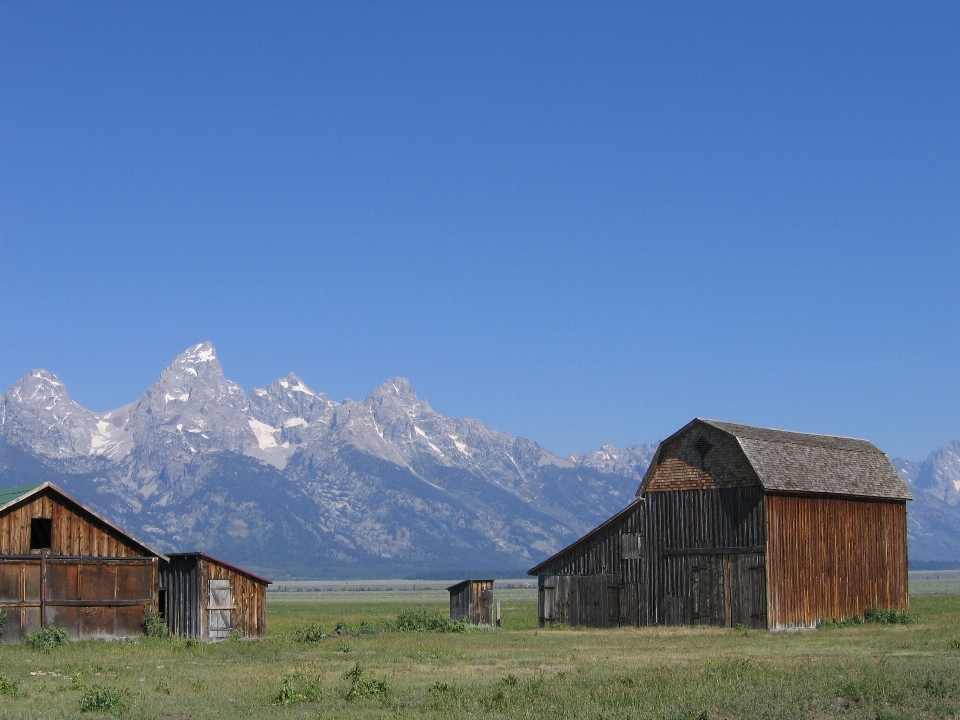 Paysage montagne prairie
 campagne