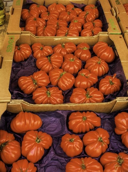 Essen rot produzieren gemüse