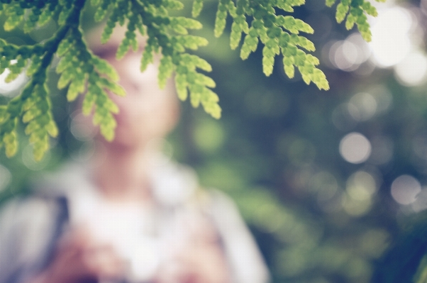 Mann baum natur zweig Foto