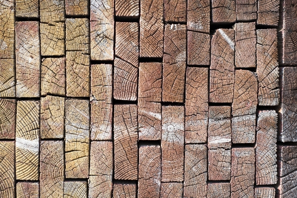 Structure wood texture plank Photo