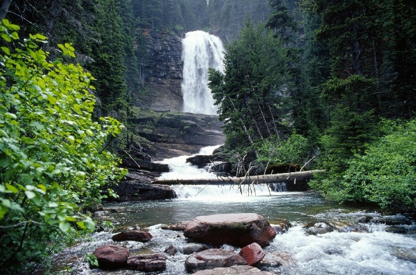 Landscape water nature forest Photo