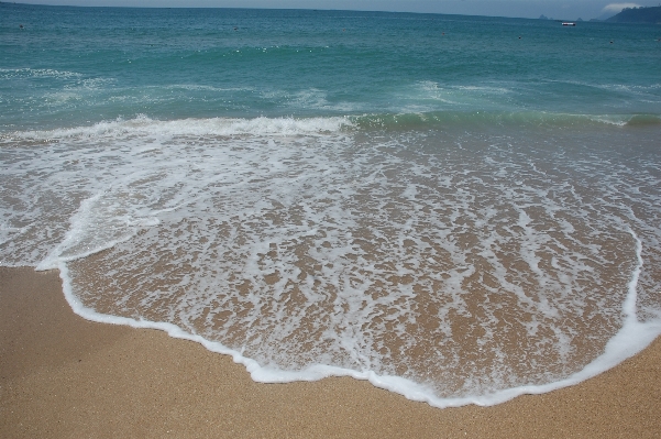 Beach sea coast sand Photo