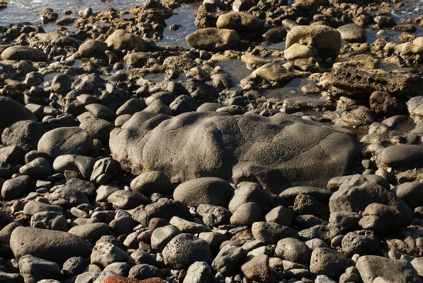 Beach sea coast water Photo