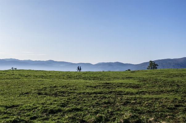 Landscape sea grass horizon Photo