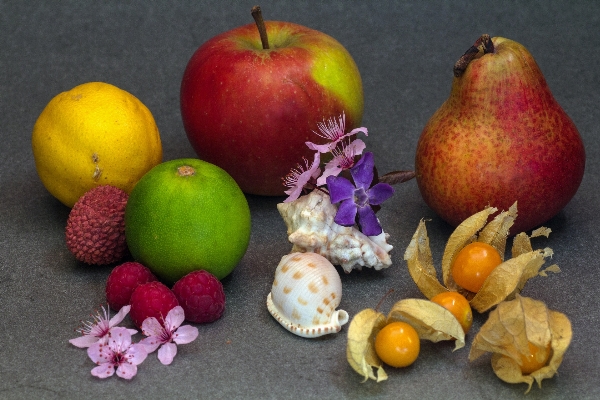 Apple anlage frucht essen Foto