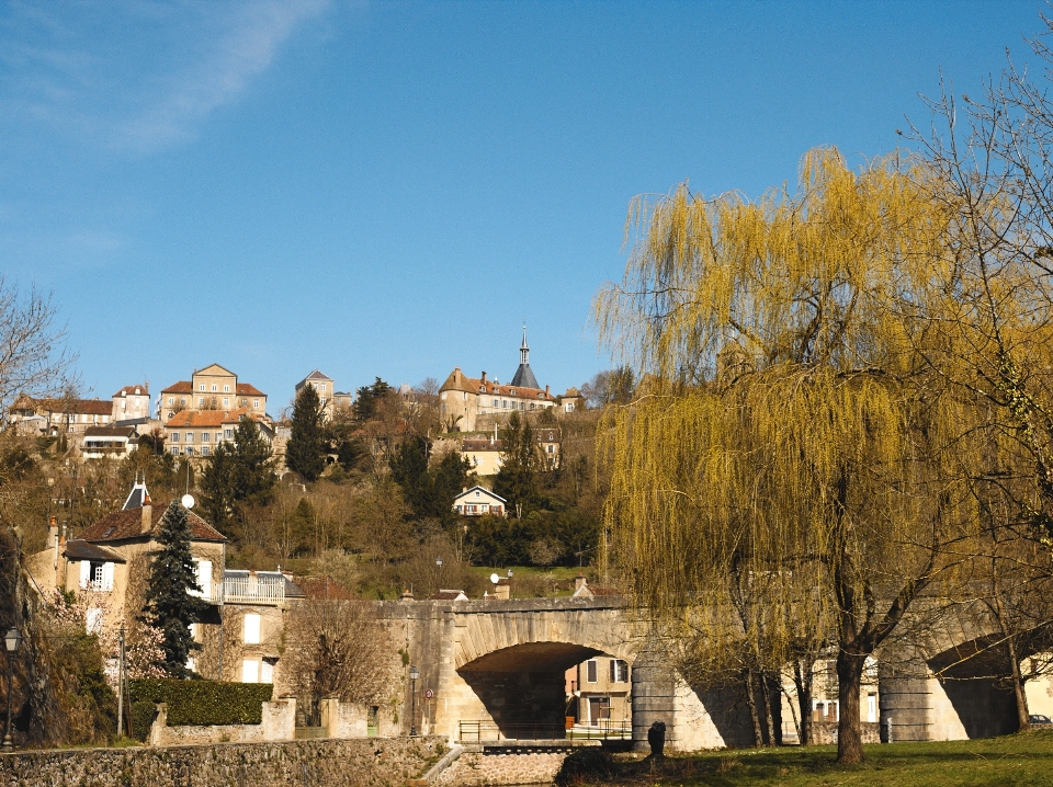 Landscape tree town chateau