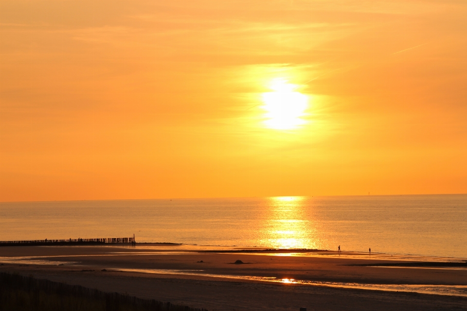 Beach sea coast nature