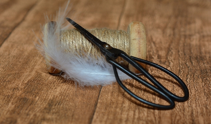 Bird wing close yarn Photo