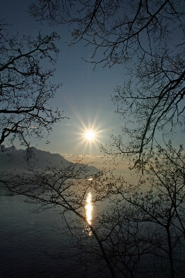 Landscape tree water nature Photo