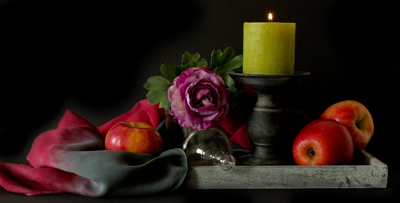 Apple plant fruit flower Photo