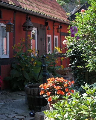 Foto Rumah bunga tua merah