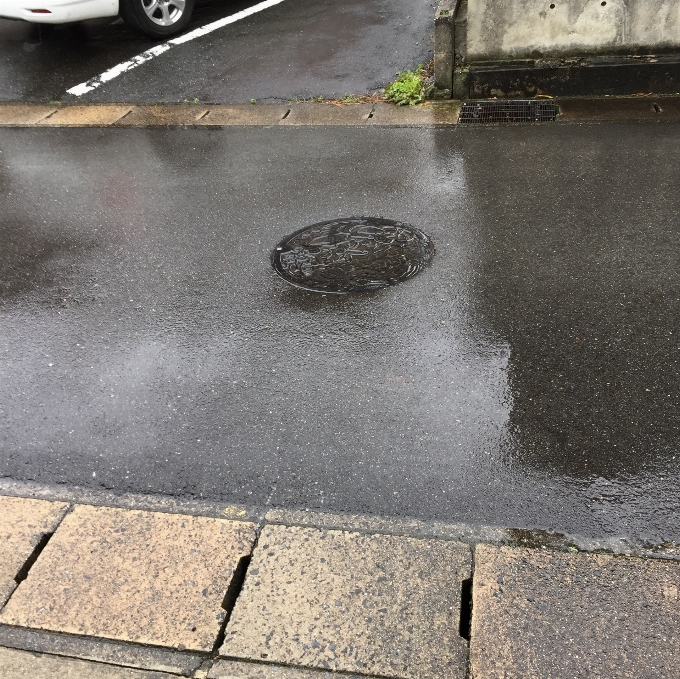 道 雨 歩道
 床