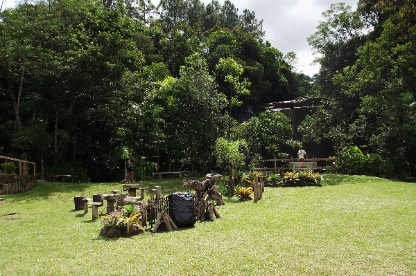 Landscape nature forest farm Photo