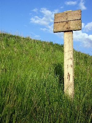 草 空 ボード 木 写真