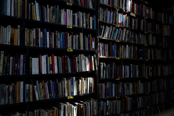 Book light building shelf Photo