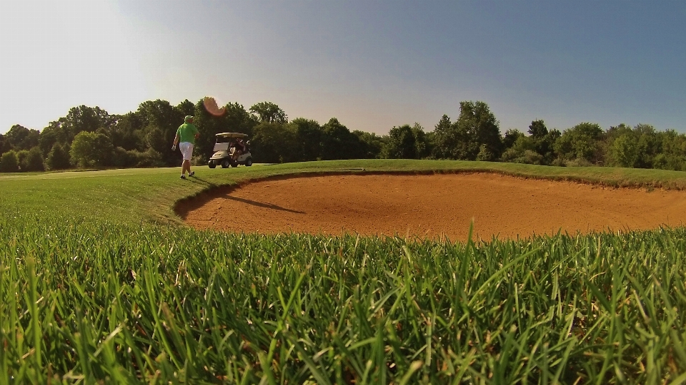 Natur gras struktur sport