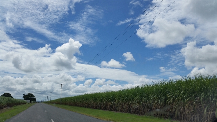 Landscape nature grass horizon Photo