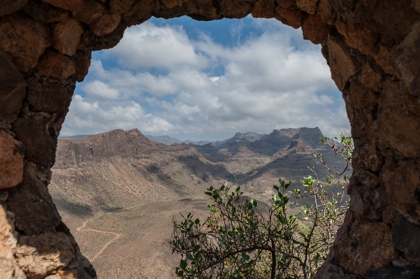 風景 木 自然 rock 写真