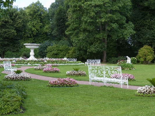 Architecture lawn meadow flower Photo