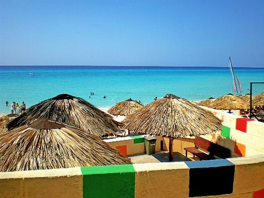 Beach sea coast sand Photo