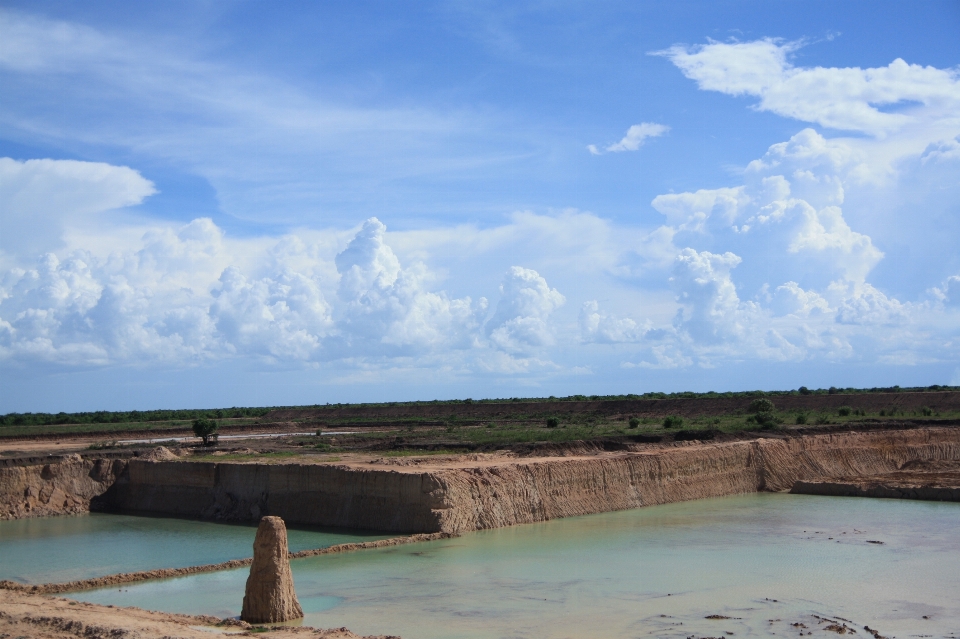 Sea coast water marsh