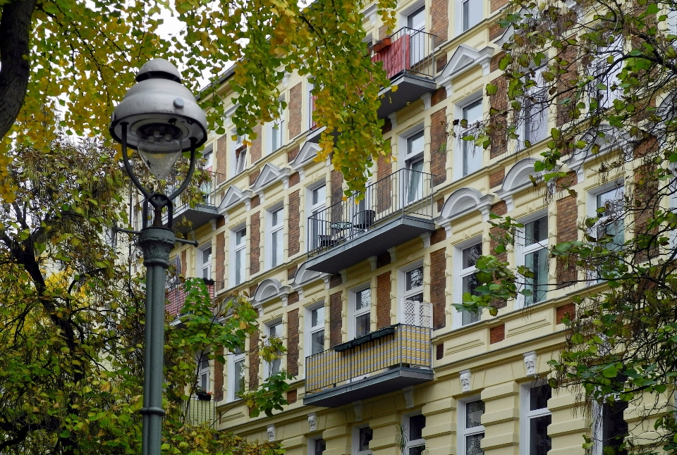 Albero architettura strada casa