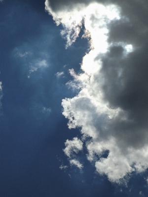 Nature light cloud sky Photo