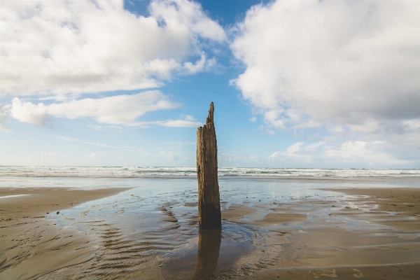 Strand landschaft meer küste Foto