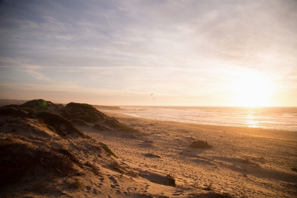 Beach landscape sea coast Photo