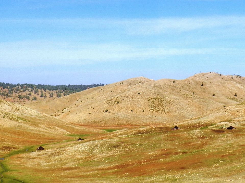 Paisagem região selvagem
 montanha campo