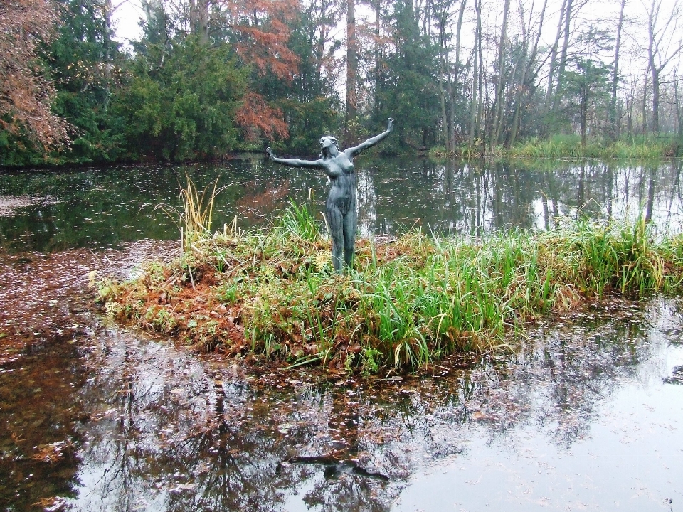 Acqua natura pantano sentiero