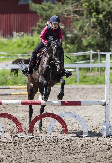 Fille des loisirs sauter cheval