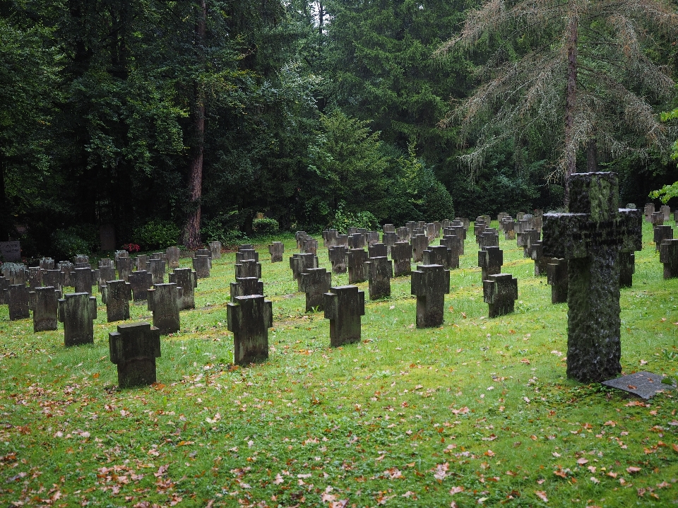 Dunkel friedhof grabstein grab