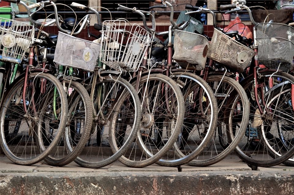 Calle rueda bicicleta vehículo